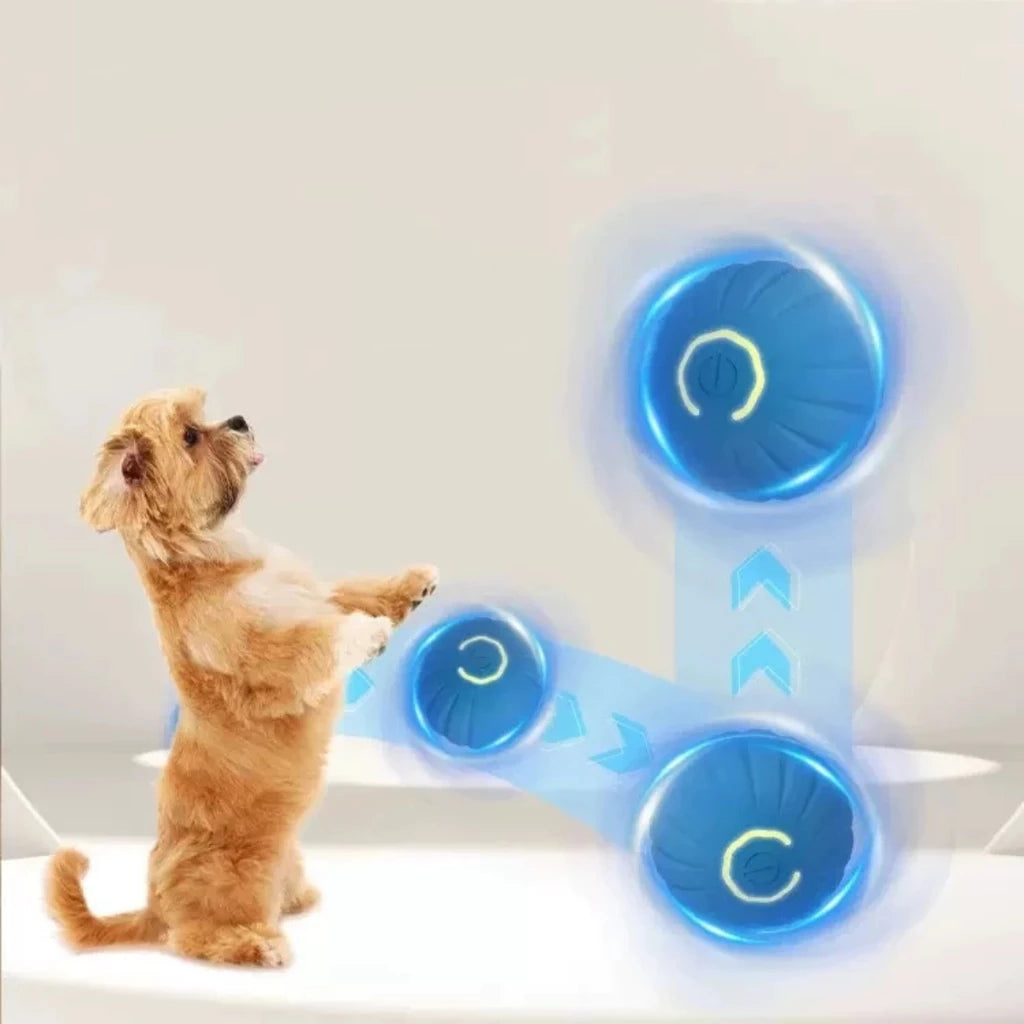Intelligenter Spielball für Haustiere, Hunde und Katzen