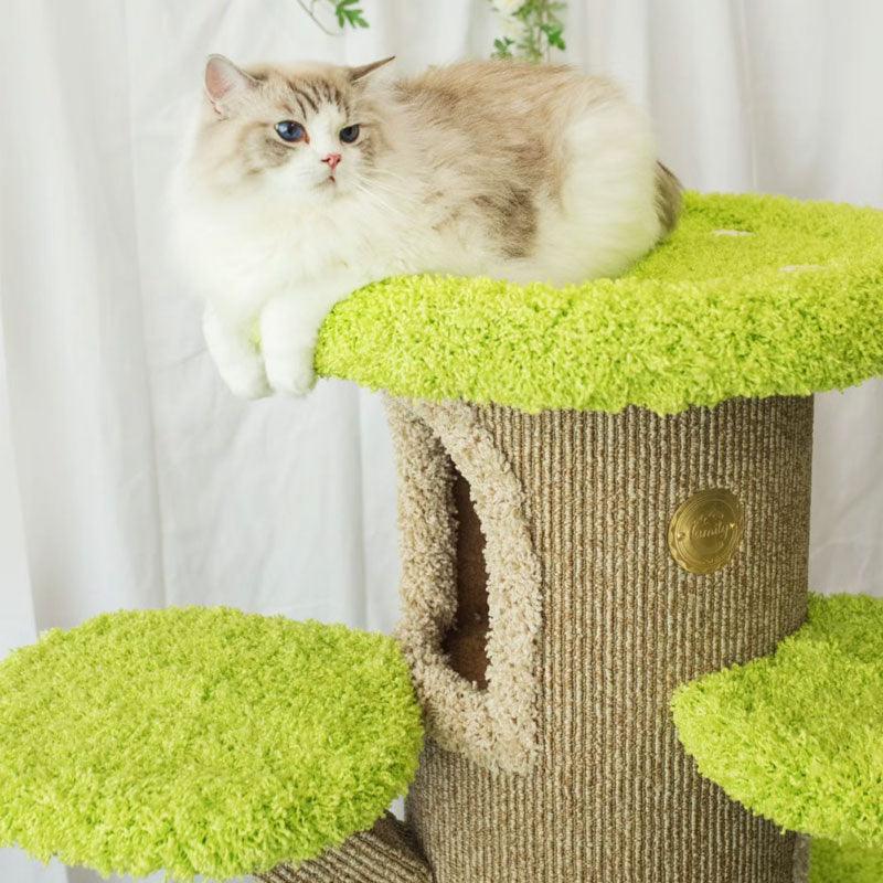 Mushroom Forest Cat Tree Climbing Frame