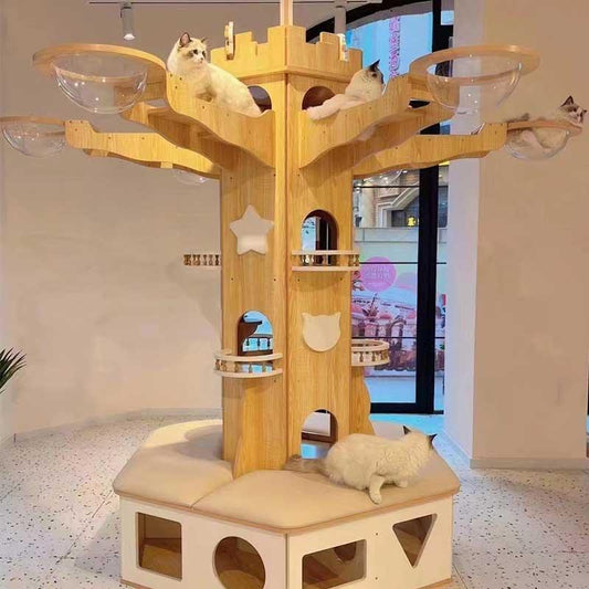 Air Playground Climbing Shelf for Multiple Cat