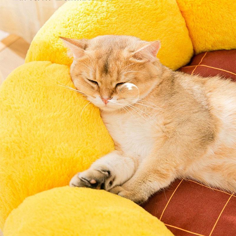 Small Cactus 2 Color Fluffy Warm Cat Bed
