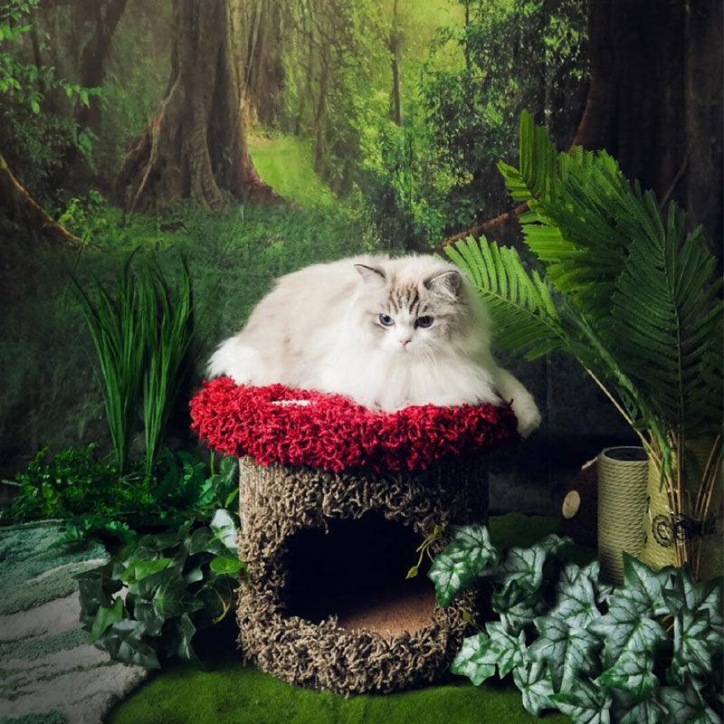 Mushroom Forest Cat Tree Climbing Frame